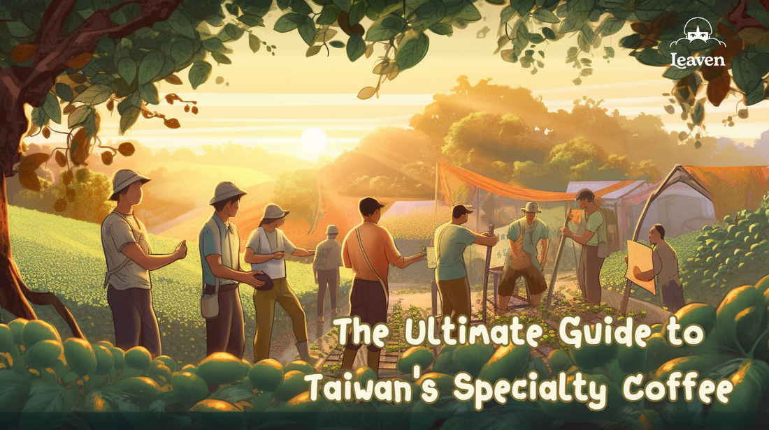 The Ultimate Guide to Taiwan’s Specialty Coffee: The History, Where to Go, and What to Drink